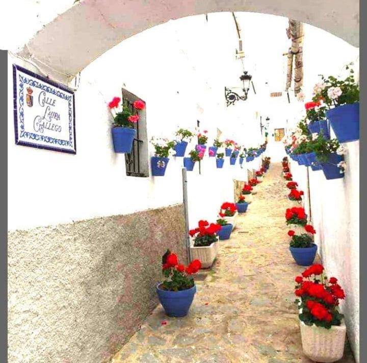 Appartamento Casa Pepa Algar  Esterno foto