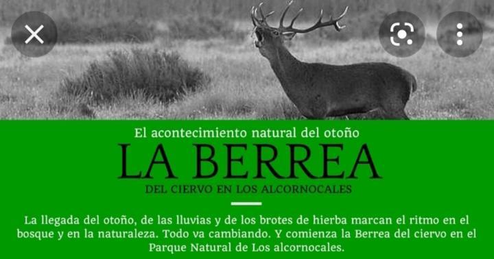 Appartamento Casa Pepa Algar  Esterno foto
