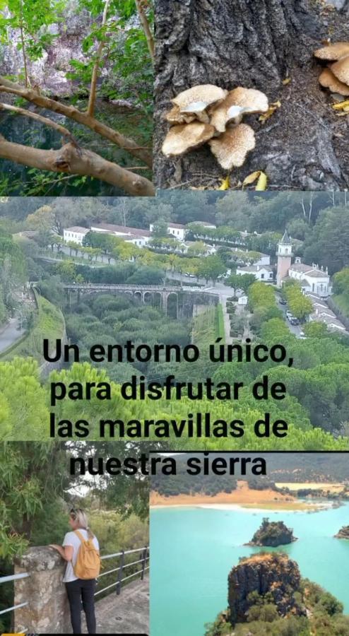 Appartamento Casa Pepa Algar  Esterno foto